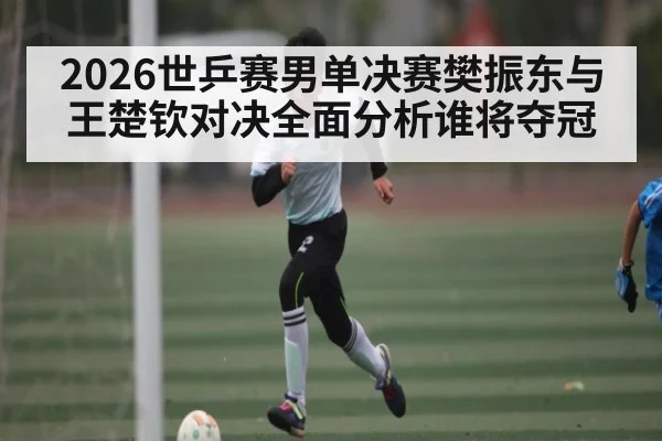 2026世乒赛男单决赛樊振东与王楚钦对决全面分析谁将夺冠