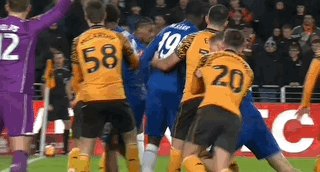 1771030280991013035.gif
